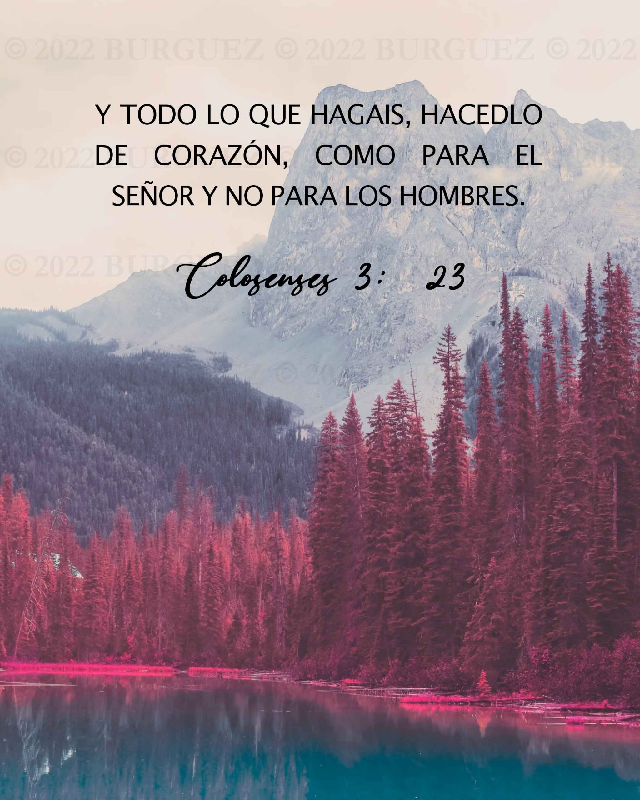 Cuadros con mensajes bíblicos y positivos - Imagen 22