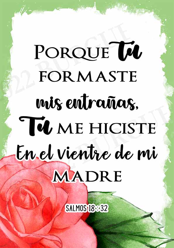 Cuadros con mensajes bíblicos y positivos - Imagen 27