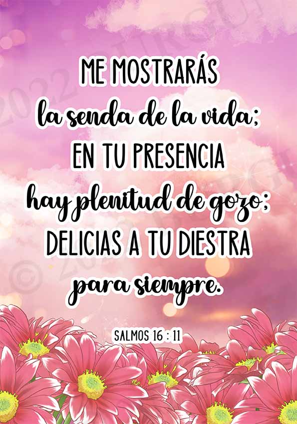 Cuadros con mensajes bíblicos y positivos - Imagen 29